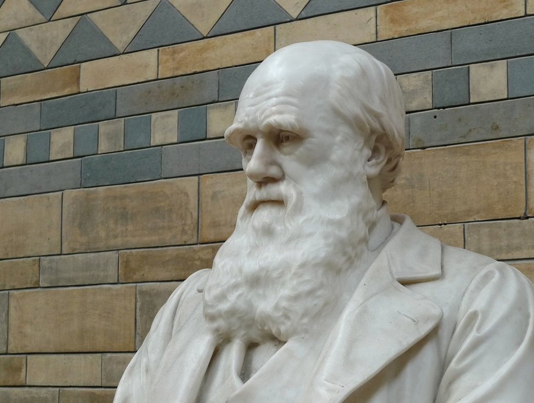 Doubting Darwin