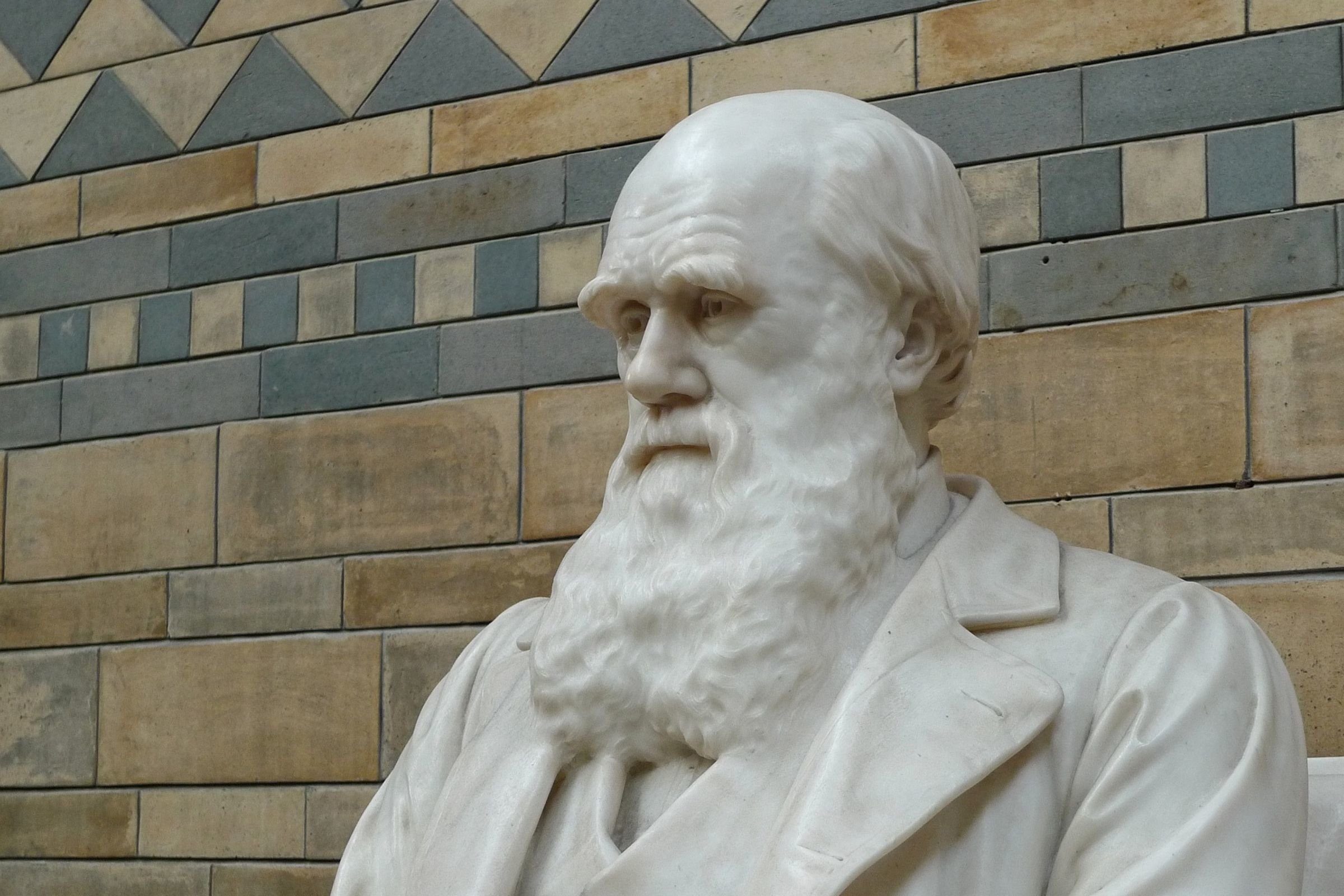 Doubting Darwin