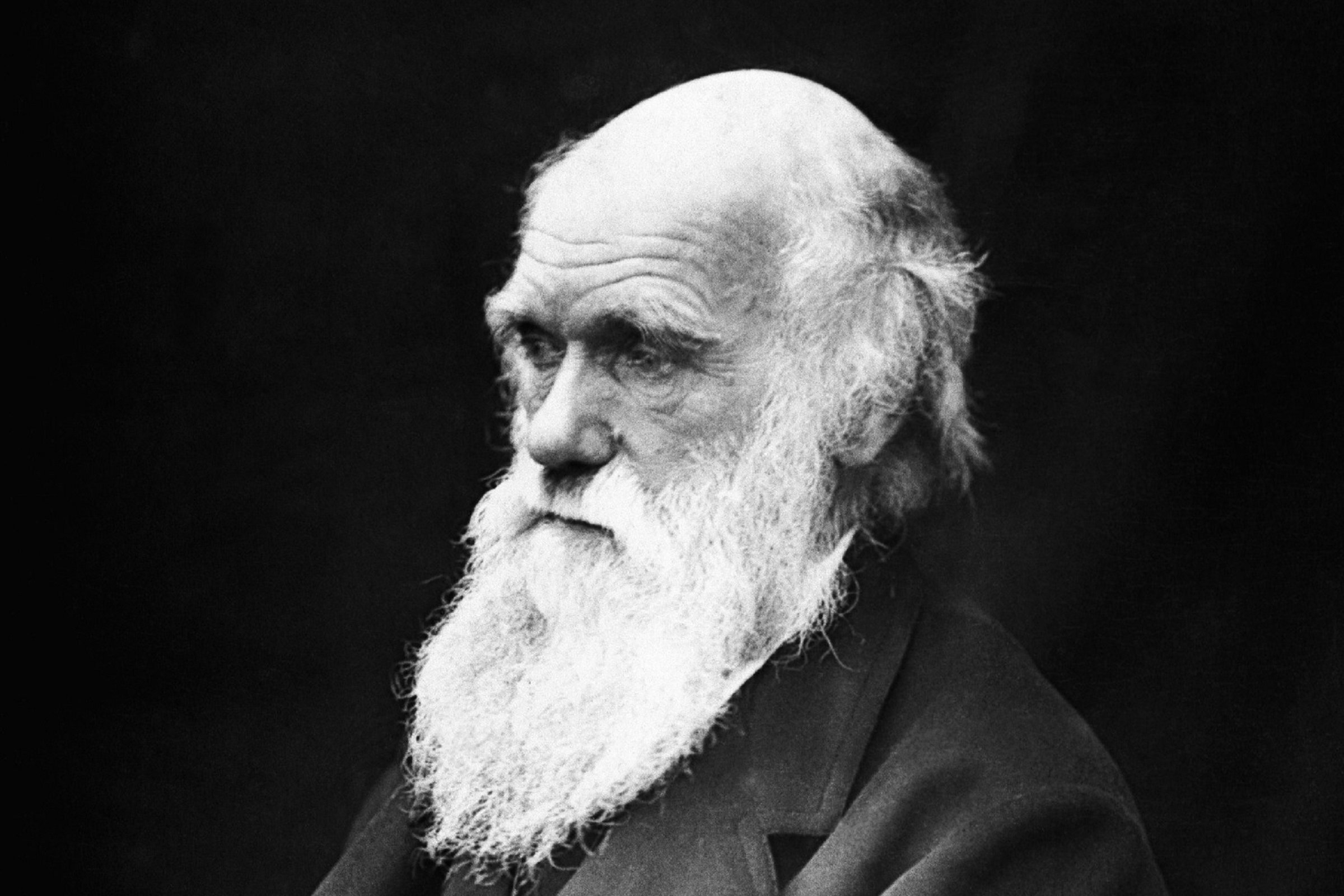Faith and Darwin